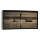 Aves a contraluz - Omar Montero | Cuadro decorativo de Canvas Lab