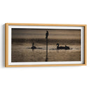 Aves a contraluz - Omar Montero | Cuadro decorativo de Canvas Lab