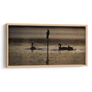 Aves a contraluz - Omar Montero | Cuadro decorativo de Canvas Lab