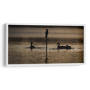 Aves a contraluz - Omar Montero | Cuadro decorativo de Canvas Lab