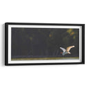 Gaviota al vuelo - Omar Montero | Cuadro decorativo de Canvas Lab