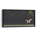 Gaviota al vuelo - Omar Montero | Cuadro decorativo de Canvas Lab