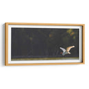 Gaviota al vuelo - Omar Montero | Cuadro decorativo de Canvas Lab