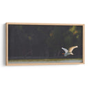 Gaviota al vuelo - Omar Montero | Cuadro decorativo de Canvas Lab