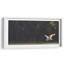 Gaviota al vuelo - Omar Montero | Cuadro decorativo de Canvas Lab