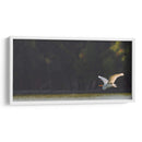 Gaviota al vuelo - Omar Montero | Cuadro decorativo de Canvas Lab