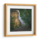 Gaviota - Omar Montero | Cuadro decorativo de Canvas Lab