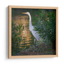 Gaviota - Omar Montero | Cuadro decorativo de Canvas Lab