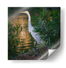 Gaviota - Omar Montero | Cuadro decorativo de Canvas Lab