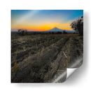 Nuestra tierra y el Popocatépetl - Omar Montero | Cuadro decorativo de Canvas Lab