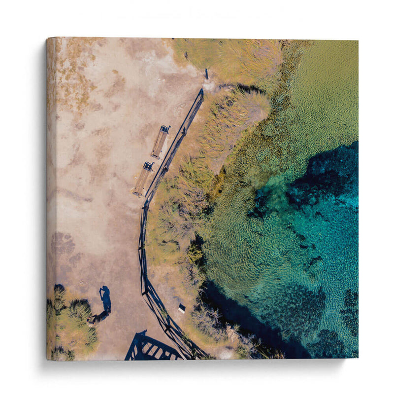 Poza de La becerra - Omar Montero | Cuadro decorativo de Canvas Lab