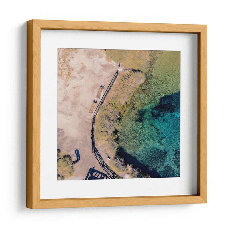 Poza de La becerra - Omar Montero | Cuadro decorativo de Canvas Lab