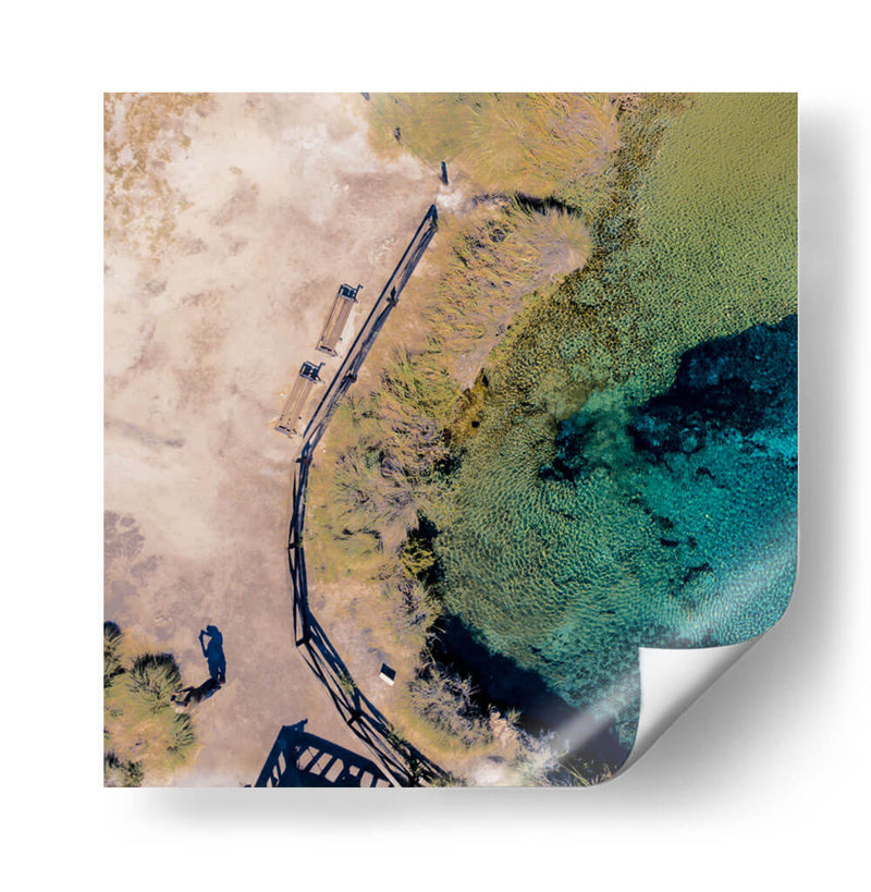 Poza de La becerra - Omar Montero | Cuadro decorativo de Canvas Lab