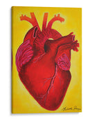 Serie Corazonas #5 - Michelle Páez