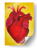 Serie Corazonas #5 - Michelle Páez