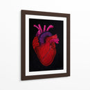 Serie Corazonas #6 - Michelle Páez