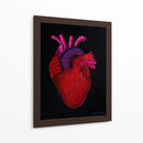 Serie Corazonas #6 - Michelle Páez