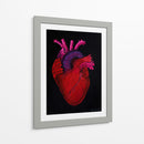 Serie Corazonas #6 - Michelle Páez