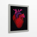 Serie Corazonas #6 - Michelle Páez