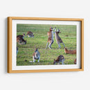 Danza de canguros | Cuadro decorativo de Canvas Lab