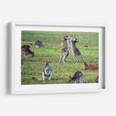 Danza de canguros | Cuadro decorativo de Canvas Lab