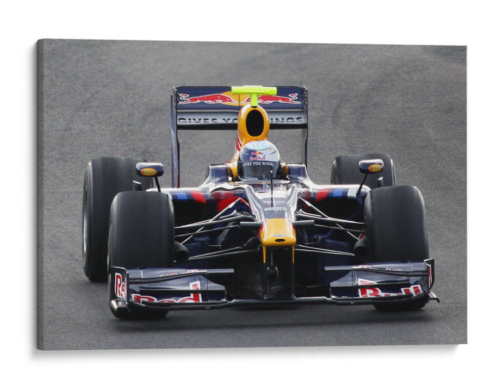 Sebastian Vettel 2009 | Cuadro decorativo de Canvas Lab