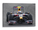 Sebastian Vettel 2009 | Cuadro decorativo de Canvas Lab
