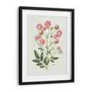 Rosas Vintage - Blanca Aurora | Cuadro decorativo de Canvas Lab