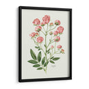Rosas Vintage - Blanca Aurora | Cuadro decorativo de Canvas Lab