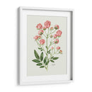 Rosas Vintage - Blanca Aurora | Cuadro decorativo de Canvas Lab