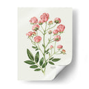 Rosas Vintage - Blanca Aurora | Cuadro decorativo de Canvas Lab