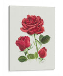 Rosas Rojas Vintage - Blanca Aurora | Cuadro decorativo de Canvas Lab