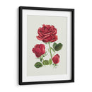 Rosas Rojas Vintage - Blanca Aurora | Cuadro decorativo de Canvas Lab