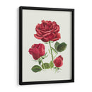 Rosas Rojas Vintage - Blanca Aurora | Cuadro decorativo de Canvas Lab