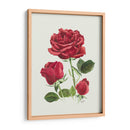 Rosas Rojas Vintage - Blanca Aurora | Cuadro decorativo de Canvas Lab
