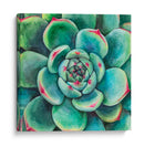 Suculenta - Blanca Aurora | Cuadro decorativo de Canvas Lab