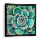 Suculenta - Blanca Aurora | Cuadro decorativo de Canvas Lab