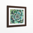 Suculenta - Blanca Aurora | Cuadro decorativo de Canvas Lab