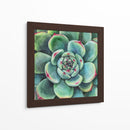 Suculenta - Blanca Aurora | Cuadro decorativo de Canvas Lab