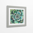 Suculenta - Blanca Aurora | Cuadro decorativo de Canvas Lab