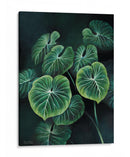 Planta Philodendron Gloriosum - Blanca Aurora | Cuadro decorativo de Canvas Lab