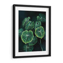Planta Philodendron Gloriosum - Blanca Aurora | Cuadro decorativo de Canvas Lab
