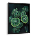 Planta Philodendron Gloriosum - Blanca Aurora | Cuadro decorativo de Canvas Lab