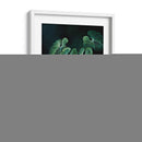 Planta Philodendron Gloriosum - Blanca Aurora | Cuadro decorativo de Canvas Lab