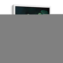 Planta Philodendron Gloriosum - Blanca Aurora | Cuadro decorativo de Canvas Lab