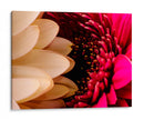 romance floral - Alvaro Martinz | Cuadro decorativo de Canvas Lab