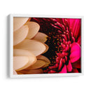 romance floral - Alvaro Martinz | Cuadro decorativo de Canvas Lab