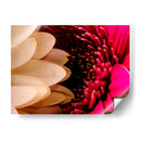 romance floral - Alvaro Martinz | Cuadro decorativo de Canvas Lab
