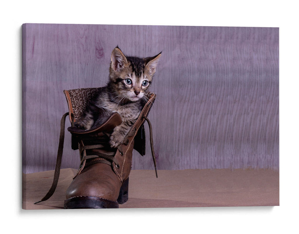 Tobby - Alvaro Martinz | Cuadro decorativo de Canvas Lab