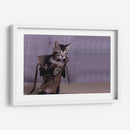 Tobby - Alvaro Martinz | Cuadro decorativo de Canvas Lab